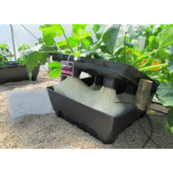 DWC OXYPOT 110L, Kompletny system hydroponiczny na 4 roślin, 83x83xh38cm/ 110L NUTRICULTURE DWC OXYPOT 110L, Kompletny system hydroponiczny na 4 roślin, 83x83xh38cm/ 110L NUTRICULTURE
