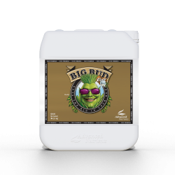 Advanced Nutrients BIG BUD COCO 5L | stymulator kwitnienia