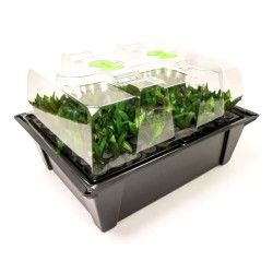 Nutriculture NC Propagator Aero/Hydro X-Stream 40, 60x41xh45 Nutriculture NC Propagator Aero/Hydro X-Stream 40, 60x41xh45