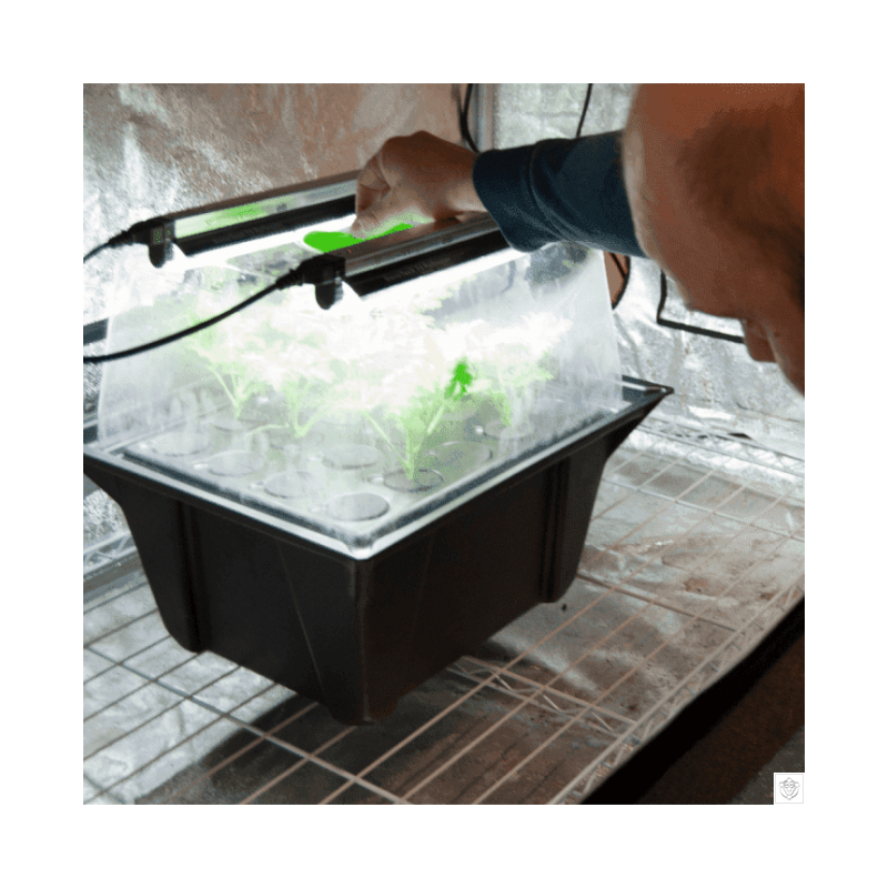 Nutriculture NC Propagator Aero/Hydro X-Stream 40, 60x41xh45 Nutriculture NC Propagator Aero/Hydro X-Stream 40, 60x41xh45