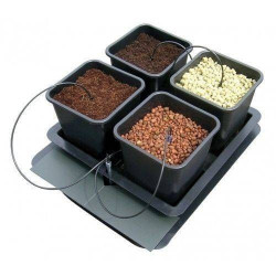 System hydroponiczny WILMA Small 4 x 11L 60x60xh20cm System hydroponiczny WILMA Small 4 x 11L 60x60xh20cm