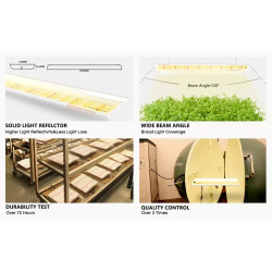 Spider farmer SF600 74W Osram 100cm - podłużna lampa LED do roślin (rekomendowana do sadzonek)