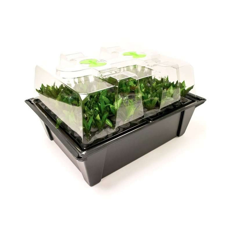 Nutriculture NC Propagator Aero/Hydro X-Stream 20, 59x46,5xh44cm Nutriculture NC Propagator Aero/Hydro X-Stream 20, 59x46,5xh44cm