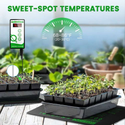 Mars Hydro Heating Mat 122 x 53cm 105W - mata grzewcza z termostatem do propagacji Mars Hydro Heating Mat 122 x 53cm 105W - mata grzewcza z termostatem do propagacji