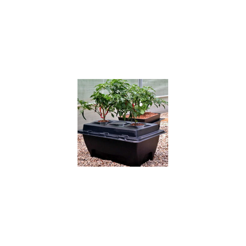 DWC OXYPOT 70L, Kompletny system hydroponiczny na 2 roślin, 82x58,5xh38cm / 70L NUTRICULTURE DWC OXYPOT 70L, Kompletny system hydroponiczny na 2 roślin, 82x58,5xh38cm / 70L NUTRICULTURE