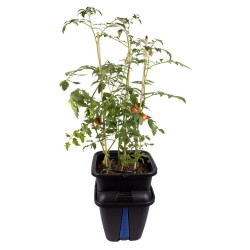 PLANT!T GEMINI System hydroponiczny na 1 roślinę PLANT!T GEMINI System hydroponiczny na 1 roślinę