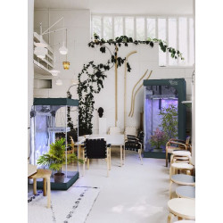 RoyalRoom® Classic C60 60x60x160cm namiot do uprawy