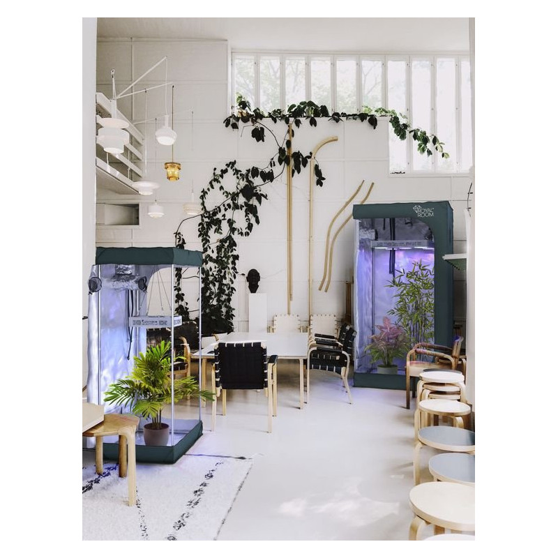 RoyalRoom® Classic C60 60x60x160cm namiot do uprawy