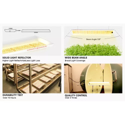 Spider farmer SF300 33W Osram 60cm - podłużna lampa LED do roślin (rekomendowana do sadzonek)