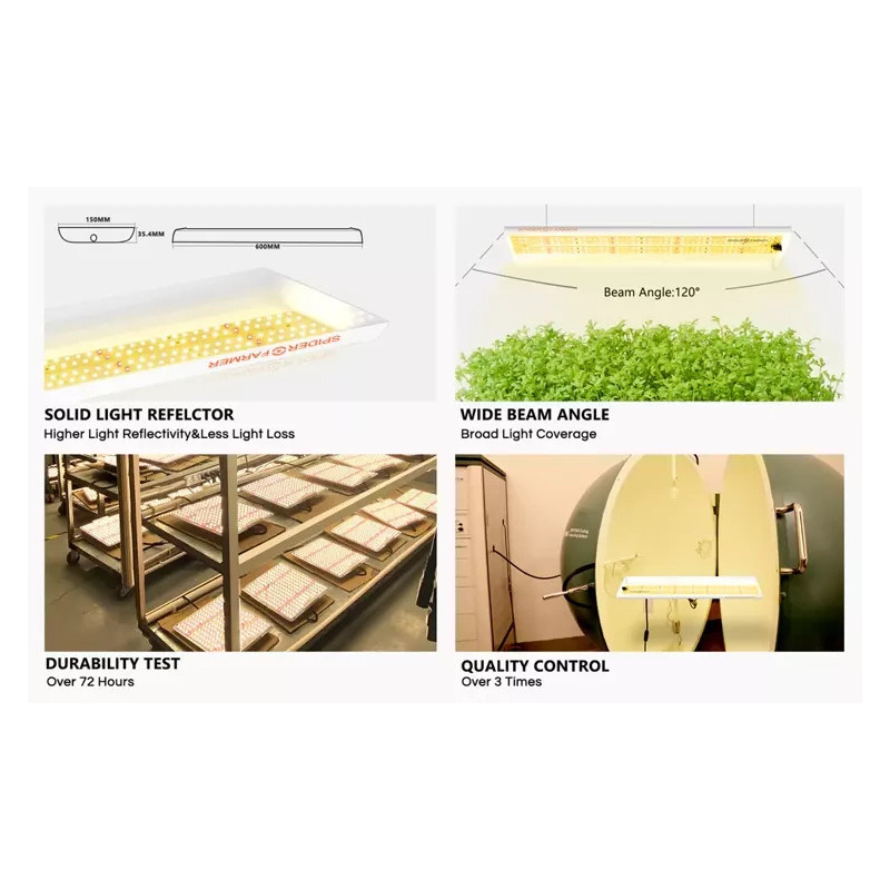 Spider farmer SF300 33W Osram 60cm - podłużna lampa LED do roślin (rekomendowana do sadzonek)