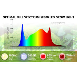 Spider farmer SF300 33W Osram 60cm - podłużna lampa LED do roślin (rekomendowana do sadzonek)