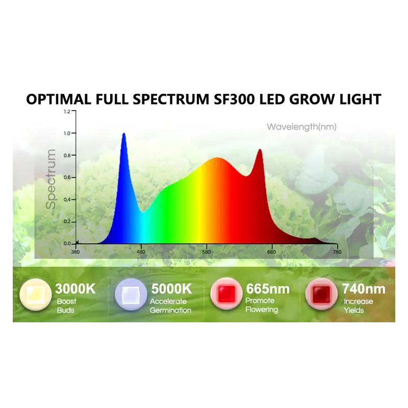 Spider farmer SF300 33W Osram 60cm - podłużna lampa LED do roślin (rekomendowana do sadzonek)