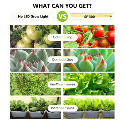 Spider farmer SF300 33W Osram 60cm - podłużna lampa LED do roślin (rekomendowana do sadzonek)