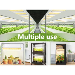 Spider farmer SF300 33W Osram 60cm - podłużna lampa LED do roślin (rekomendowana do sadzonek)