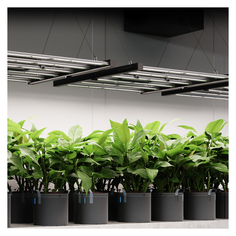 AC Infinity IONFRAME EVO4 300W Lampa LED Grow Full Spectrum Samsung LM301H EVO do 120x120cm