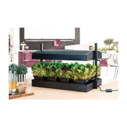 Garland Grow Light Garden - Mini Zielnik z Oświetleniem LED 8W Czarny 50x20x45cm Garland Grow Light Garden - Mini Zielnik z Oświetleniem LED 8W Czarny 50x20x45cm