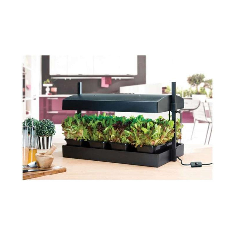 Garland Grow Light Garden - Mini Zielnik z Oświetleniem LED 8W Czarny 50x20x45cm Garland Grow Light Garden - Mini Zielnik z Oświetleniem LED 8W Czarny 50x20x45cm