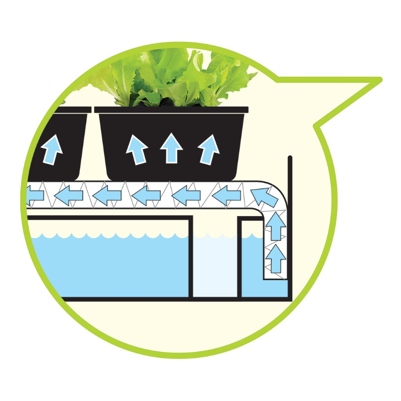 Garland Grow Light Garden - Mini Zielnik z Oświetleniem LED 8W Czarny 50x20x45cm Garland Grow Light Garden - Mini Zielnik z Oświetleniem LED 8W Czarny 50x20x45cm