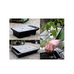 System hydroponiczny NFT GRO-TANK Nutriculture 20L , 70x40xh20cm