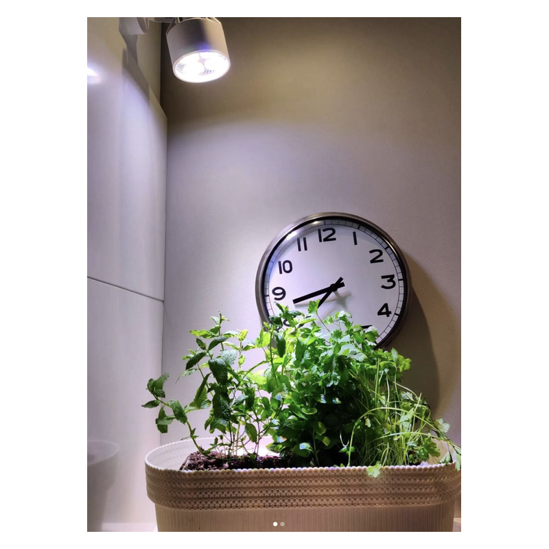 VERTICANA® Żarówka 35W | BIAŁA | soczewka 15° VERTICANA® Żarówka 35W | BIAŁA | soczewka 15°