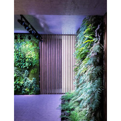 VERTICANA® Żarówka 35W | CZARNA | soczewka 15° VERTICANA® Żarówka 35W | CZARNA | soczewka 15°