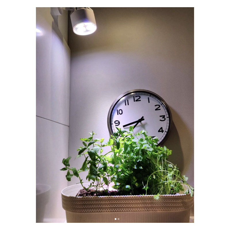VERTICANA® Żarówka 35W | CZARNA | soczewka 25° VERTICANA® Żarówka 35W | CZARNA | soczewka 25°