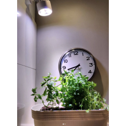 VERTICANA® Żarówka 35W | BIAŁA | soczewka 25° VERTICANA® Żarówka 35W | BIAŁA | soczewka 25°