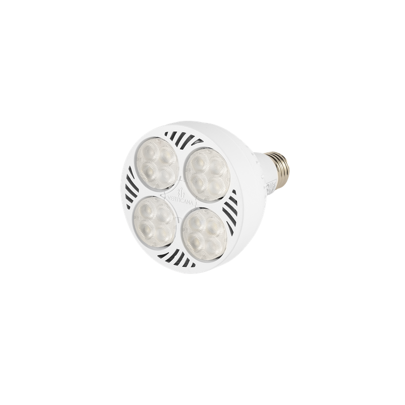 VERTICANA® Żarówka 35W | BIAŁA | soczewka 45° VERTICANA® Żarówka 35W | BIAŁA | soczewka 45°