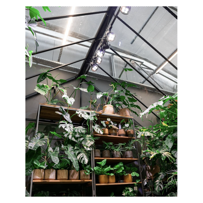 VERTICANA® Żarówka 35W | BIAŁA | soczewka 45° VERTICANA® Żarówka 35W | BIAŁA | soczewka 45°
