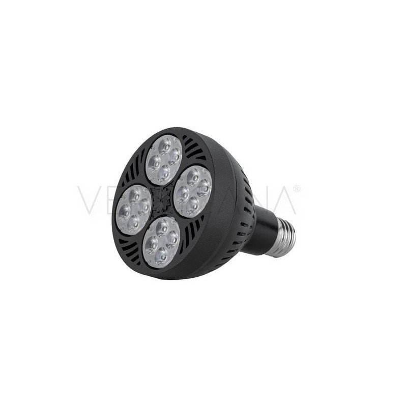 VERTICANA® Żarówka 35W | CZARNA | soczewka 80° VERTICANA® Żarówka 35W | CZARNA | soczewka 80°