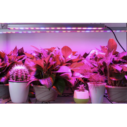 Herbgarden Lampa LED GROW podłużna listwa do roślin 27x3w 85 cm na WZROST Herbgarden Lampa LED GROW podłużna listwa do roślin 27x3w 85 cm na WZROST