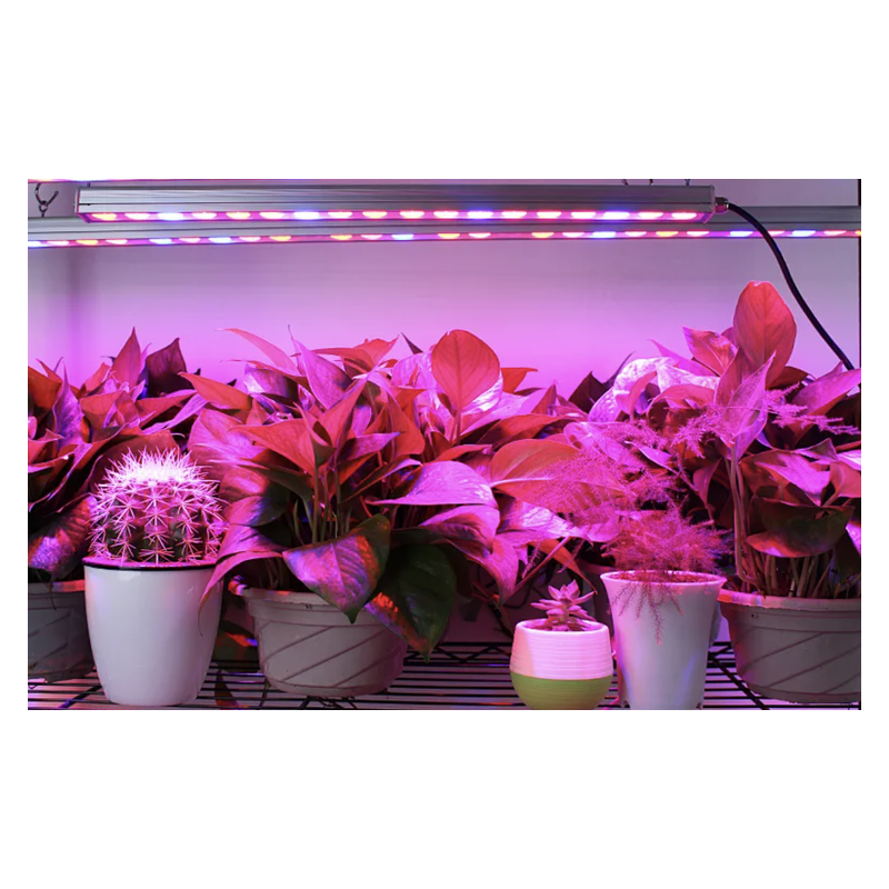 Herbgarden Lampa LED GROW podłużna listwa do roślin 27x3w 85 cm na WZROST Herbgarden Lampa LED GROW podłużna listwa do roślin 27x3w 85 cm na WZROST