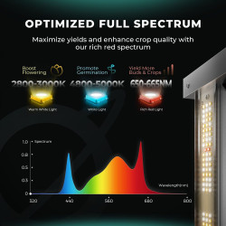 Mars Hydro Smart FC 4000-EVO 320W Samsung LM301H EVO Lampa Led Grow Full Spectrum