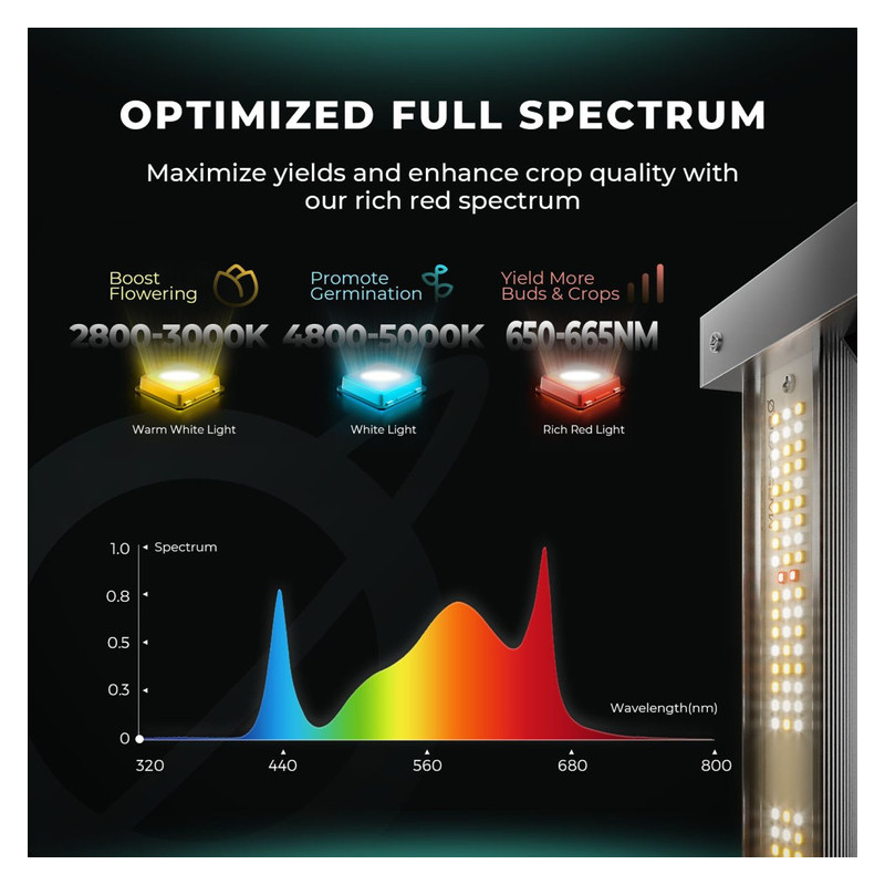 Mars Hydro Smart FC 4000-EVO 320W Samsung LM301H EVO Lampa Led Grow Full Spectrum