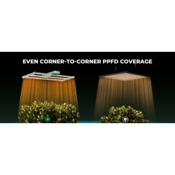 Mars Hydro Smart FC 4000-EVO 320W Samsung LM301H EVO Lampa Led Grow Full Spectrum