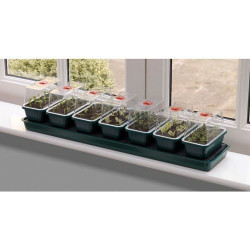 Samonawadniający propagator + 7 mini tac 76x18,5xh15cm Garland Samonawadniający propagator + 7 mini tac 76x18,5xh15cm Garland