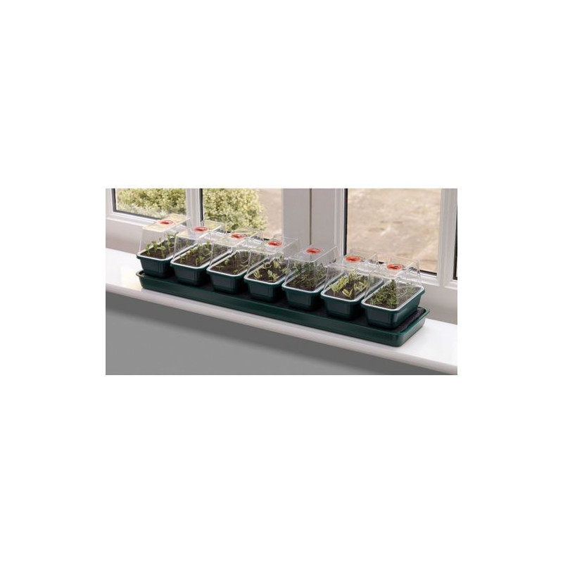 Samonawadniający propagator + 7 mini tac 76x18,5xh15cm Garland Samonawadniający propagator + 7 mini tac 76x18,5xh15cm Garland