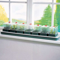 Samonawadniający propagator + 7 mini tac 76x18,5xh15cm Garland Samonawadniający propagator + 7 mini tac 76x18,5xh15cm Garland