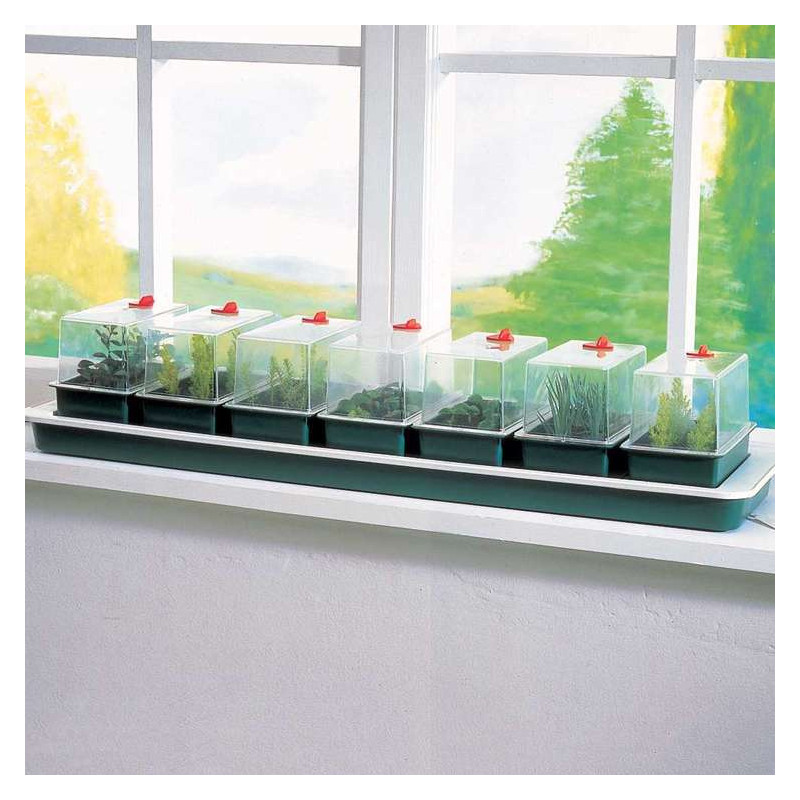 Samonawadniający propagator + 7 mini tac 76x18,5xh15cm Garland Samonawadniający propagator + 7 mini tac 76x18,5xh15cm Garland