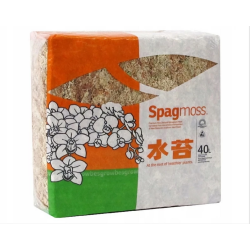 Besgrow Mech torfowiec Sphagnum Spagmoss 500G 40L