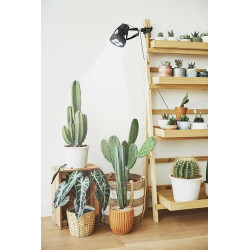 VERTICANA® Clip Holder | CZARNY | Oprawa na klips z kablem 2m i włącznikiem VERTICANA® Clip Holder | CZARNY | Oprawa na klips z kablem 2m i włącznikiem