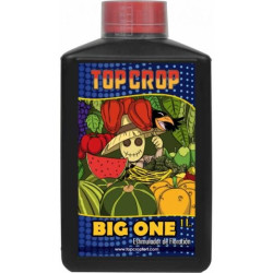 Top Crop Big One 1L stymulator kwitnienia