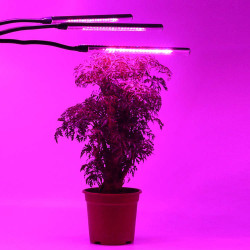 HERBGARDEN Clip on grow LED Triple - lampka z klipsem 30W + pilot HERBGARDEN Clip on grow LED Triple - lampka z klipsem 30W + pilot