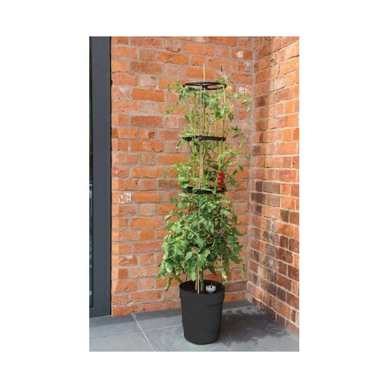 Samonawadniająca doniczka do warzyw roślin pnących antracyt