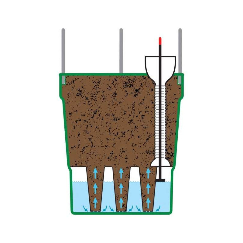 Samonawadniająca doniczka do warzyw roślin pnących antracyt