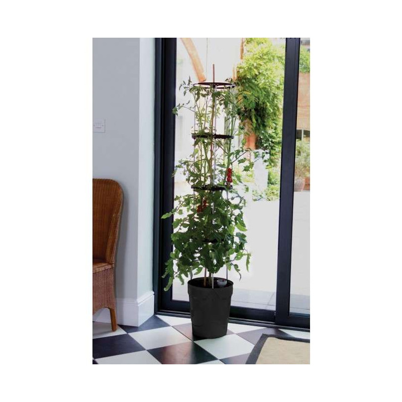 Samonawadniająca doniczka do warzyw roślin pnących antracyt