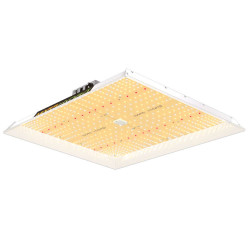 Mars Hydro TSW 2000 300W Lampa Led Grow *NOWY MODEL* Mars Hydro TSW 2000 300W Lampa Led Grow *NOWY MODEL*