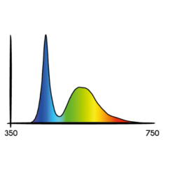 Lampa LED Secret Jardin COSMORROW 20W - Wzrost / Klonowanie