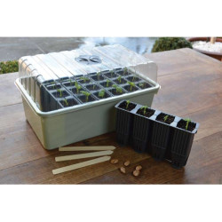 Propagator Garland z wkładem do ukorzeniania 38x23xh20cm G227