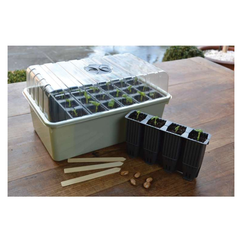Propagator Garland z wkładem do ukorzeniania 38x23xh20cm G227
